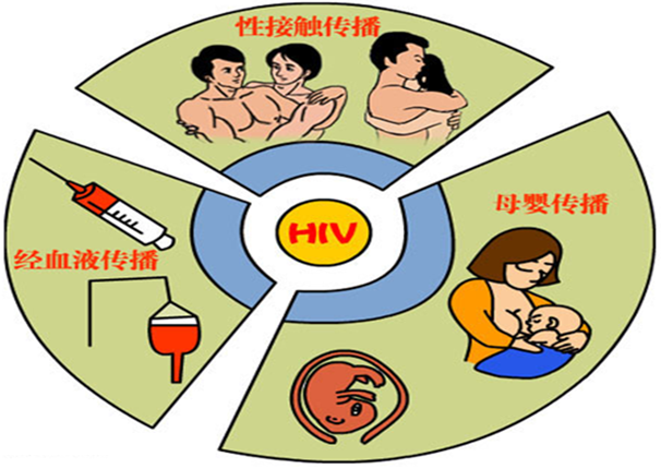 新宝2登录线路检测中心