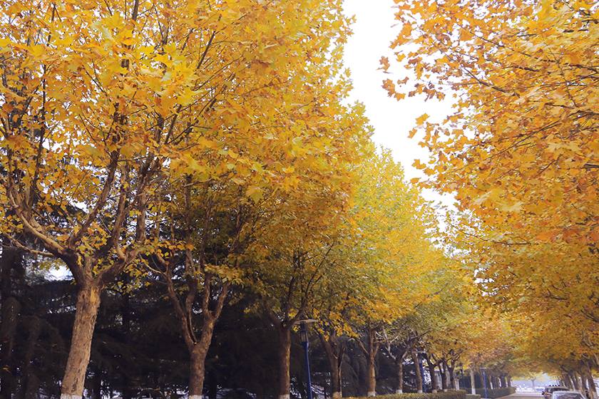 新宝2登录线路检测中心