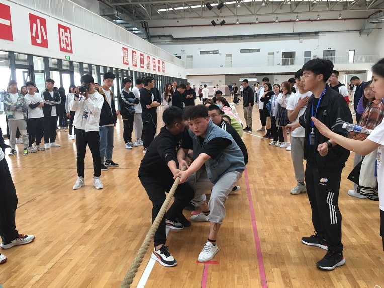 新宝2登录线路检测中心