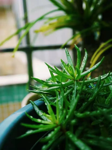 新宝2登录线路检测中心