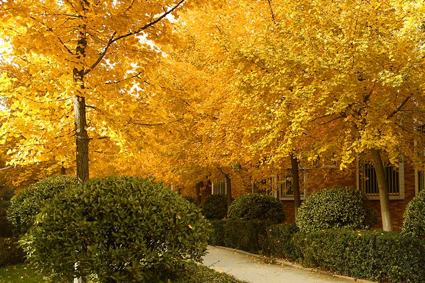 新宝2登录线路检测中心