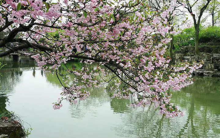 新宝2登录线路检测中心