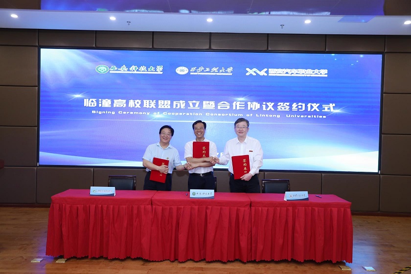 新宝2登录线路检测中心