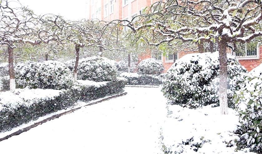 新宝2登录线路检测中心