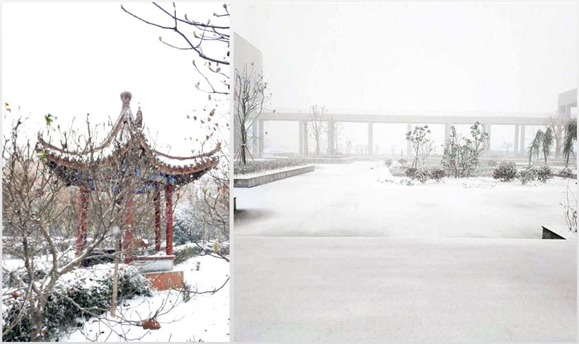 新宝2登录线路检测中心