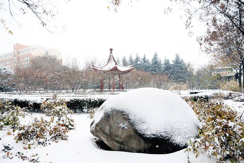 新宝2登录线路检测中心