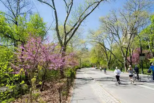 新宝2登录线路检测中心