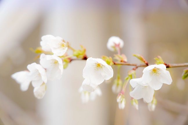 新宝2登录线路检测中心