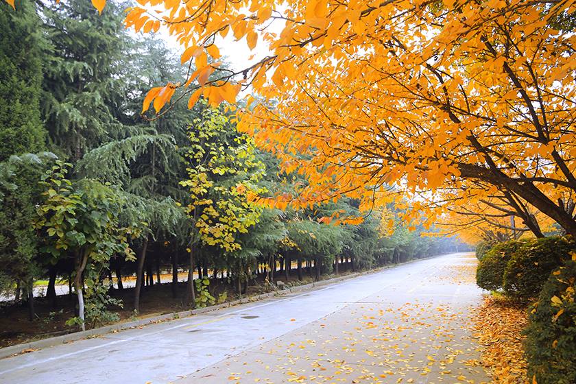 新宝2登录线路检测中心