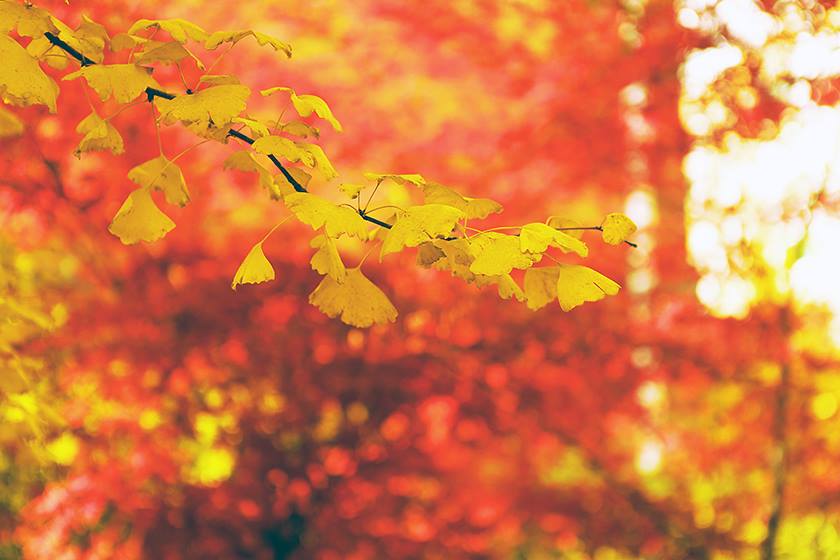 新宝2登录线路检测中心