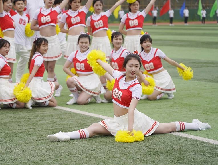 新宝2登录线路检测中心