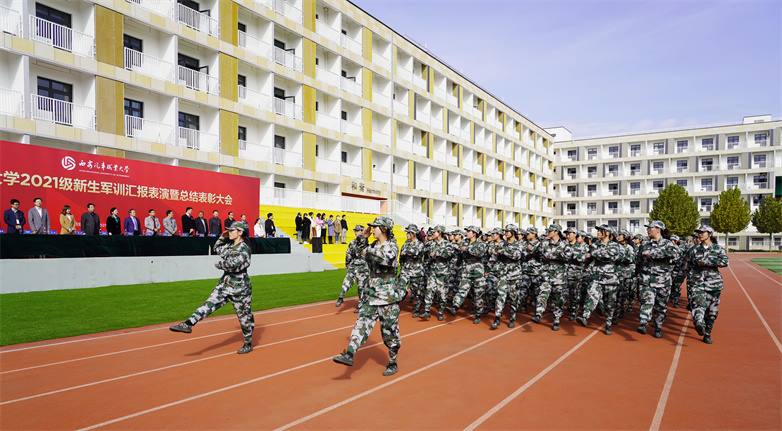 新宝2登录线路检测中心