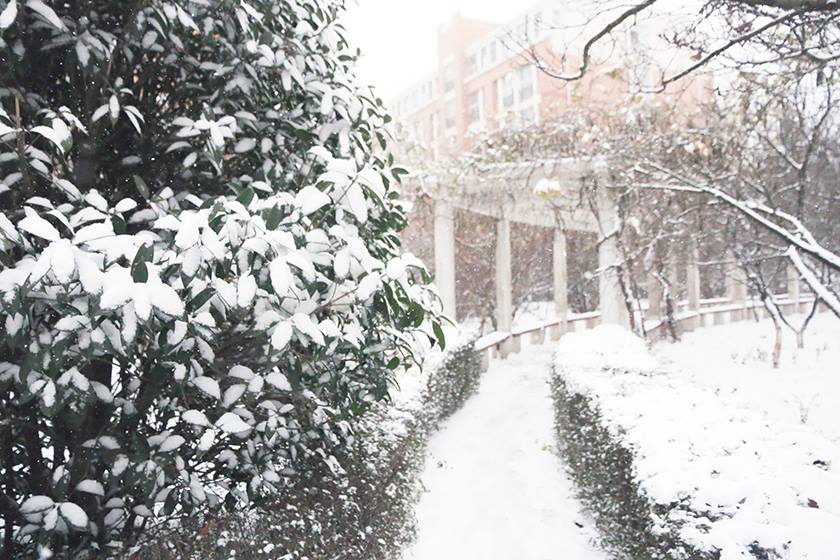 新宝2登录线路检测中心