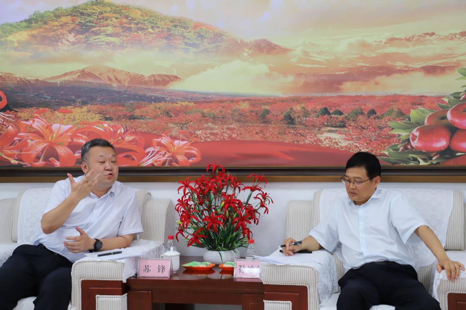 新宝2登录线路检测中心