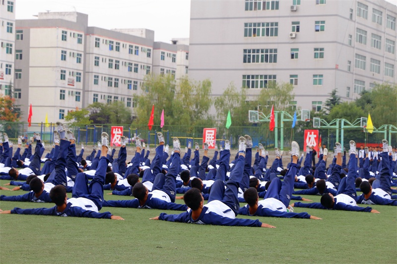 新宝2登录线路检测中心