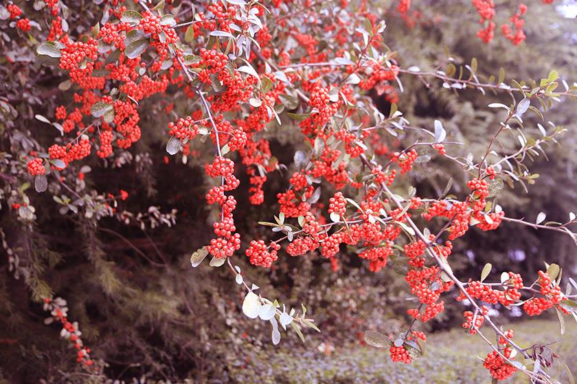 新宝2登录线路检测中心