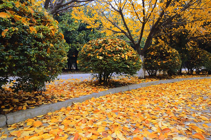 新宝2登录线路检测中心