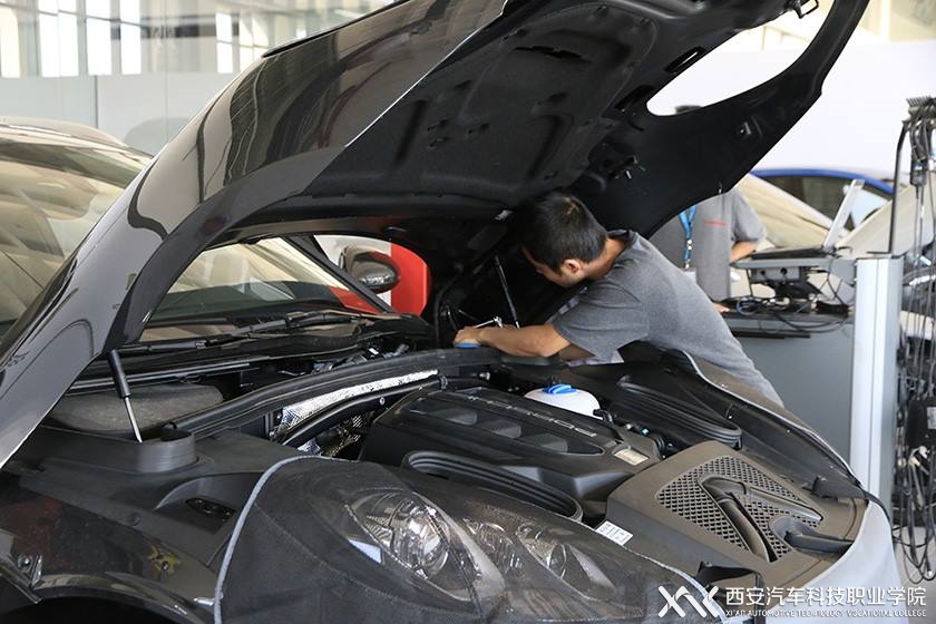 新宝2登录线路检测中心