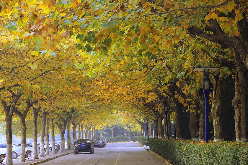 新宝2登录线路检测中心