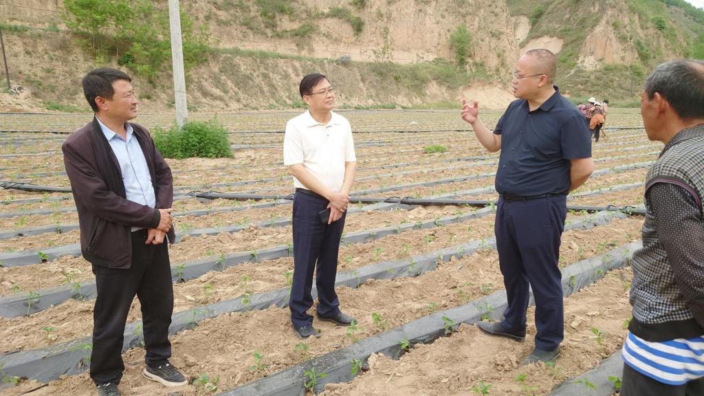 新宝2登录线路检测中心