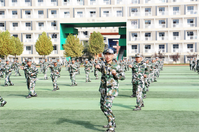 新宝2登录线路检测中心