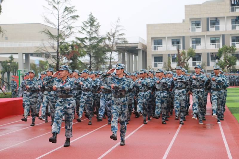 新宝2登录线路检测中心