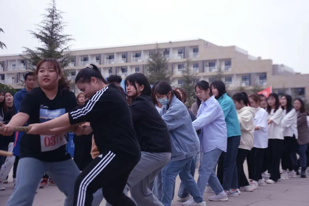新宝2登录线路检测中心