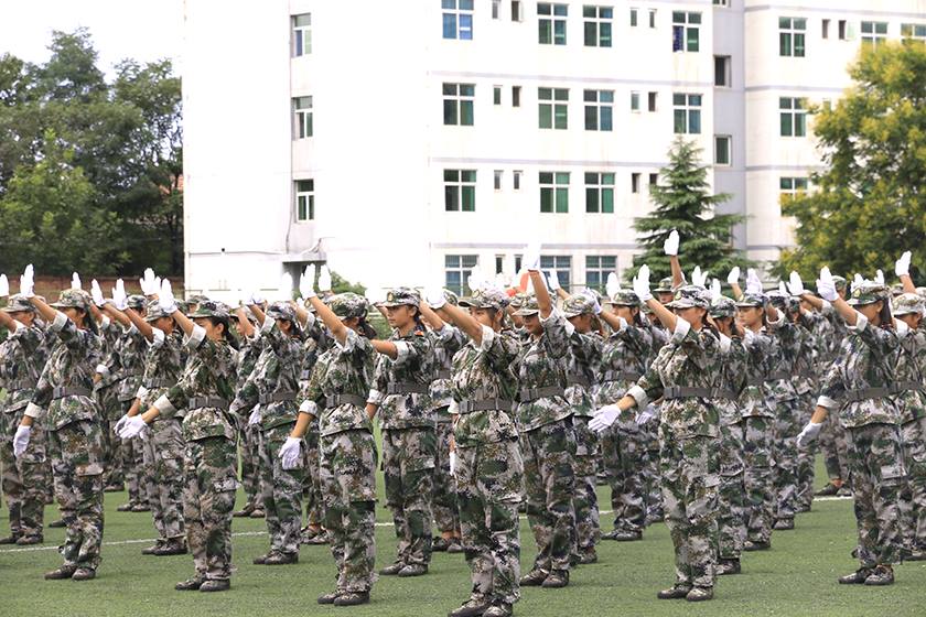 新宝2登录线路检测中心