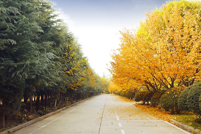 新宝2登录线路检测中心