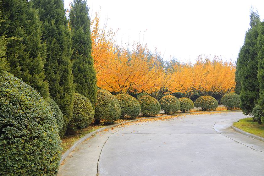 新宝2登录线路检测中心