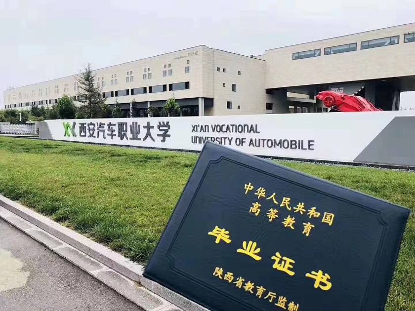 新宝2登录线路检测中心