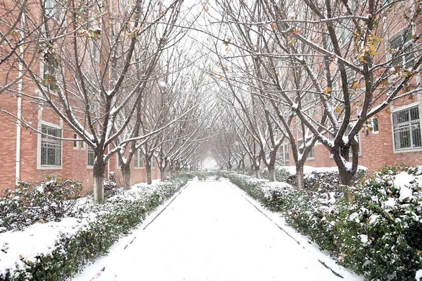 新宝2登录线路检测中心