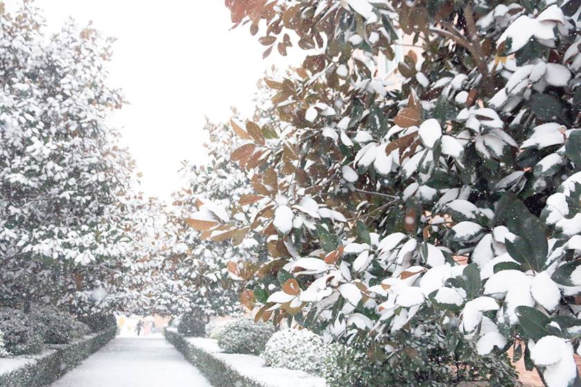 新宝2登录线路检测中心