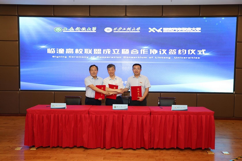 新宝2登录线路检测中心