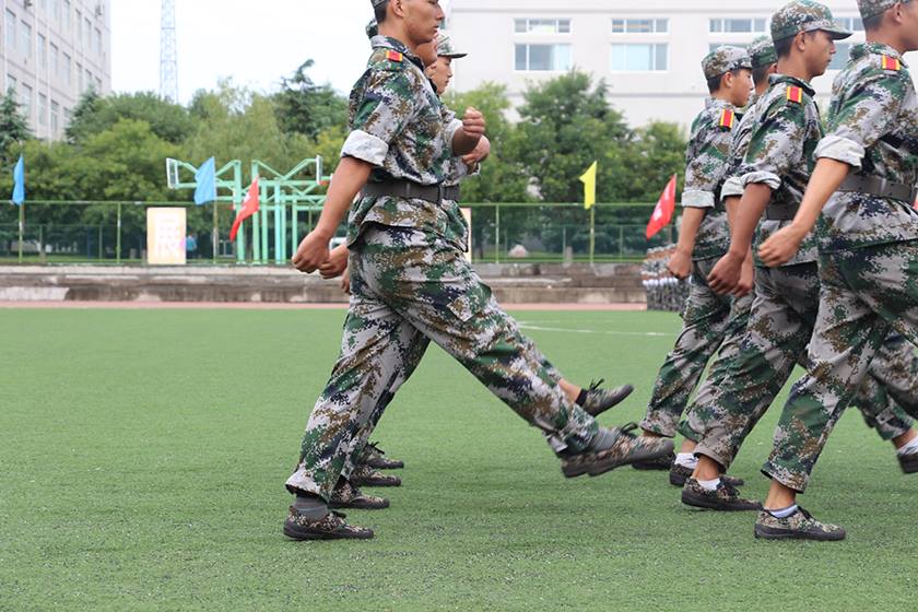 新宝2登录线路检测中心