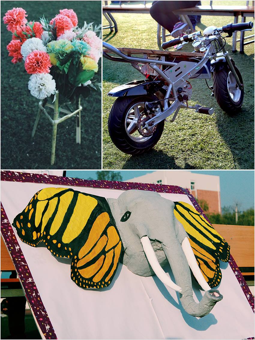 新宝2登录线路检测中心